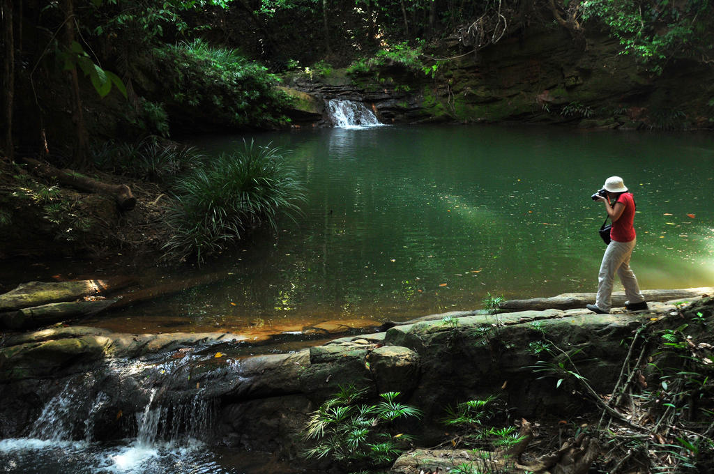 Borneo Tropical Rainforest Resort Miri Exterior photo